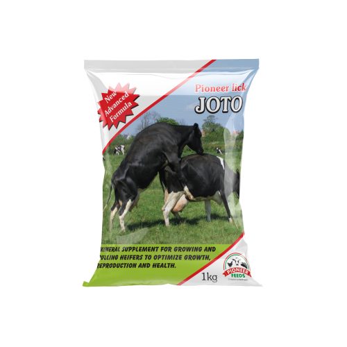 Pioneer Lick Joto