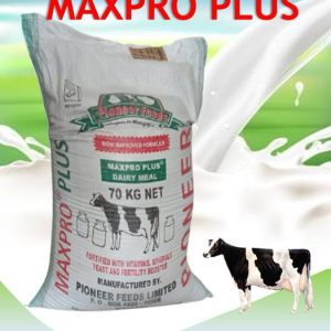 Maxpro PLUS Dairy Meal